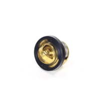 TERMOSTAT ATV 200 BASHAN NEVADA