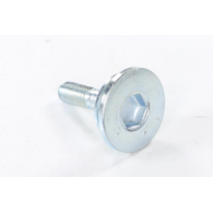 ŚRUBA M6x21,5mm ŚLIZGU ŁAŃCUCHA ROZRZĄDU GY6-50 4T