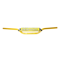 KIEROWNICA RENTAL FTC ZŁOTA DI MOD.2