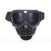 GOGLE WB C-01