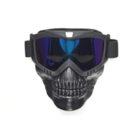 GOGLE WB D-01