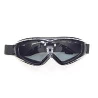 GOGLE WB F-01