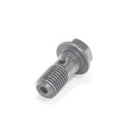 ŚRUBA M10x22mm PRZEWODU HAMULCOWEGO ATV 125/150