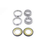 ZESTAW ŁOŻYSK GŁÓWKI RAMY SUZUKI TRIUMPH YAMAHA 30x55x17mm RMS
PASUJE DO MODELI: SUZUKI-GSR/GSX/GSX-R/V-STROM/SV/GSZ/HAYABUSA  TRIUMPH-STREET TRIPLE/DAYTONA/TIGER/SPRINT/BONNEVILLE/THRUXTON/TROPHY YAMAHA-R46/R1/R6/R7/TDM