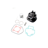 CYLINDER APRILIA SR / DERBI GP1 / GILERA DNA RUNNER / PIAGGIO NRG ZIP 50 LC RMS