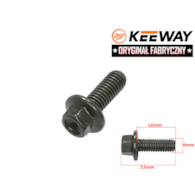 ŚRUBA M6x12mm MOCOWANIA BAGAŻNIKA KEEWAY ORG.